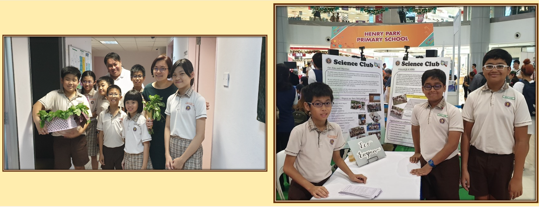 Science Club activities